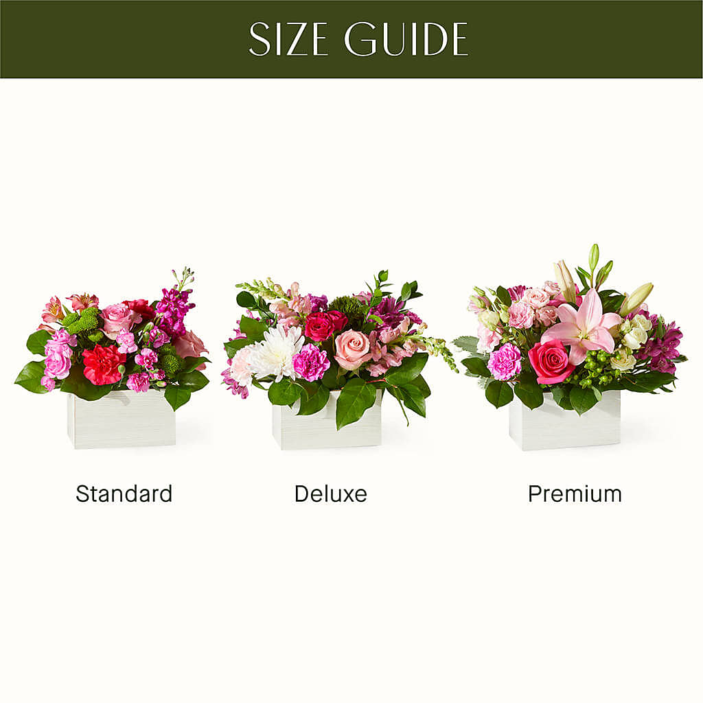 Sweetberry Box – A Florist Original – Super Savers, Lincoln NE
