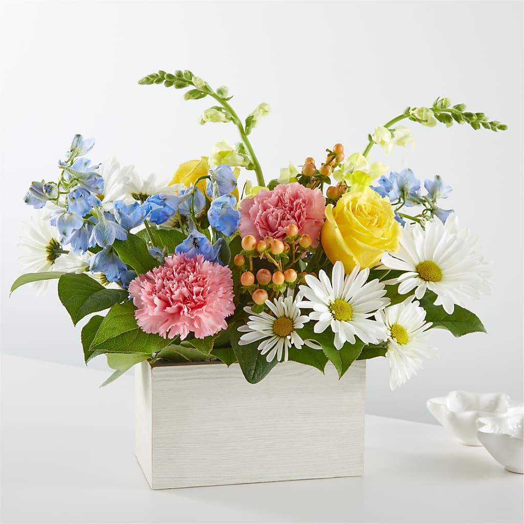 Sun Salutation Box Bouquet – Super Savers, Lincoln NE