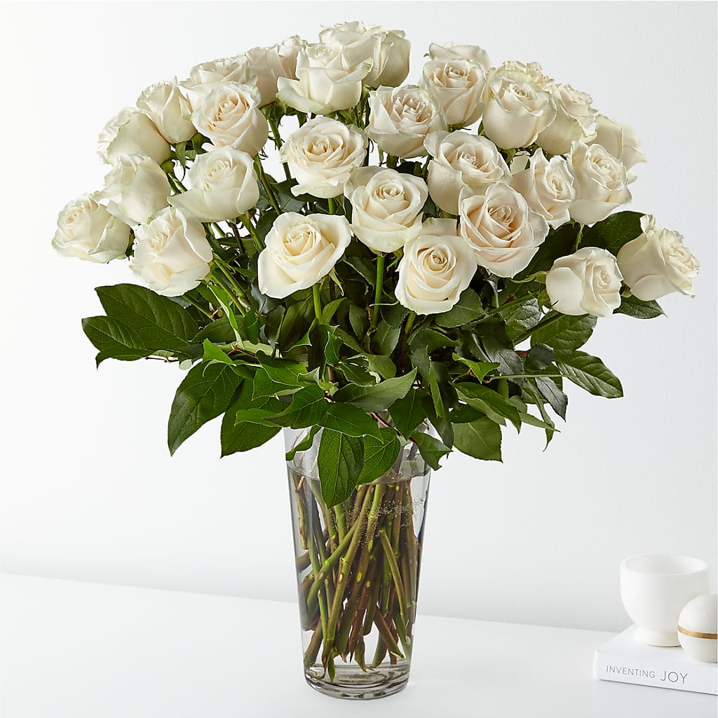 Long Stem White Rose Bouquet – Super Savers, Lincoln NE