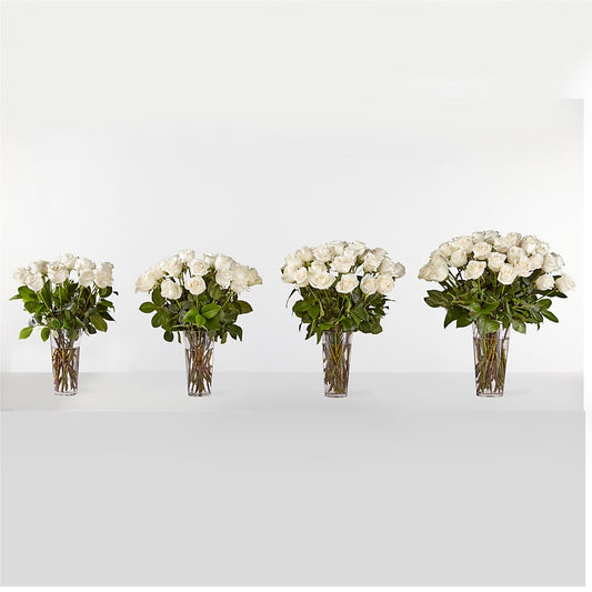 Long Stem White Rose Bouquet – Super Savers, Lincoln NE