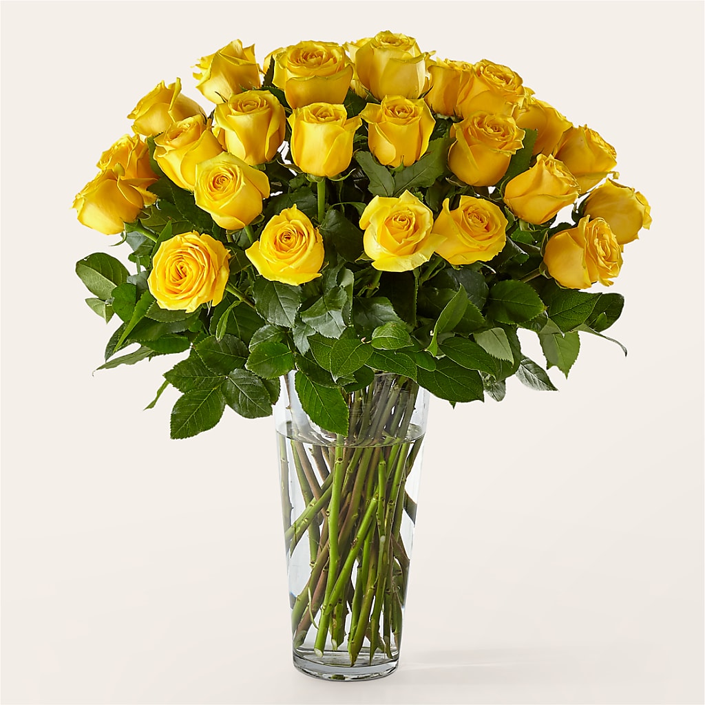 Long Stem Yellow Rose Bouquet – Super Savers, Lincoln NE