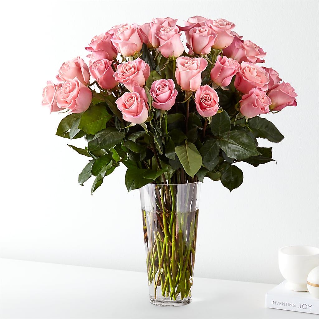 Long Stem Pink Rose Bouquet – Super Savers, Lincoln NE