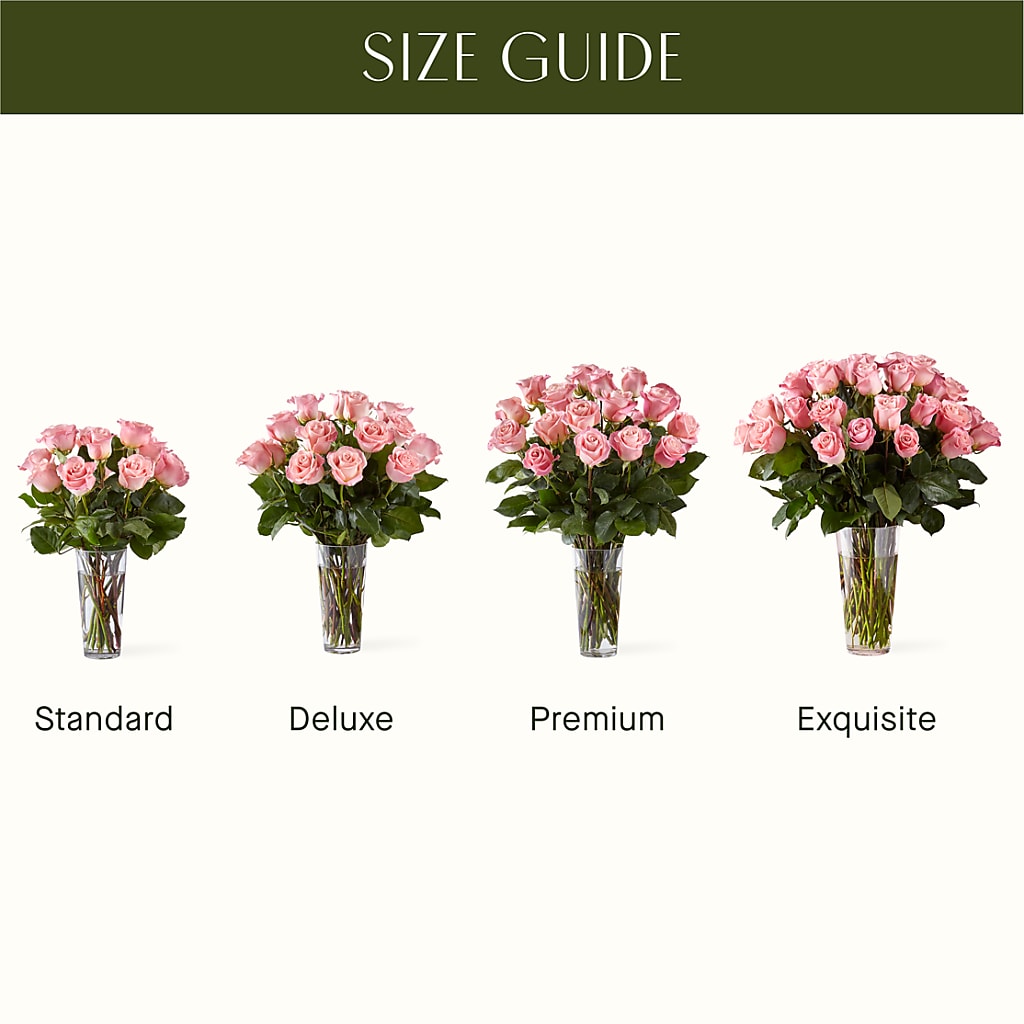 Long Stem Pink Rose Bouquet – Super Savers, Lincoln NE