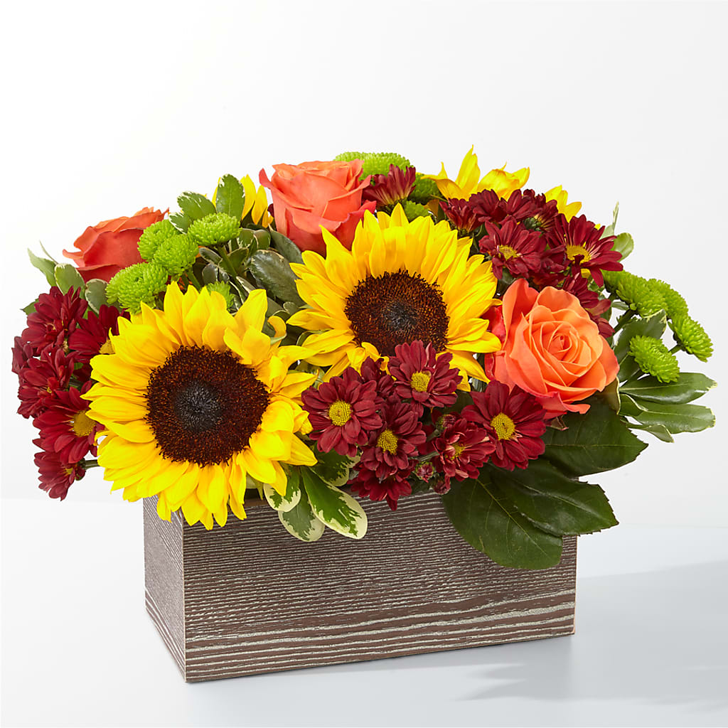 Happy Harvest Garden – Super Savers, Lincoln NE