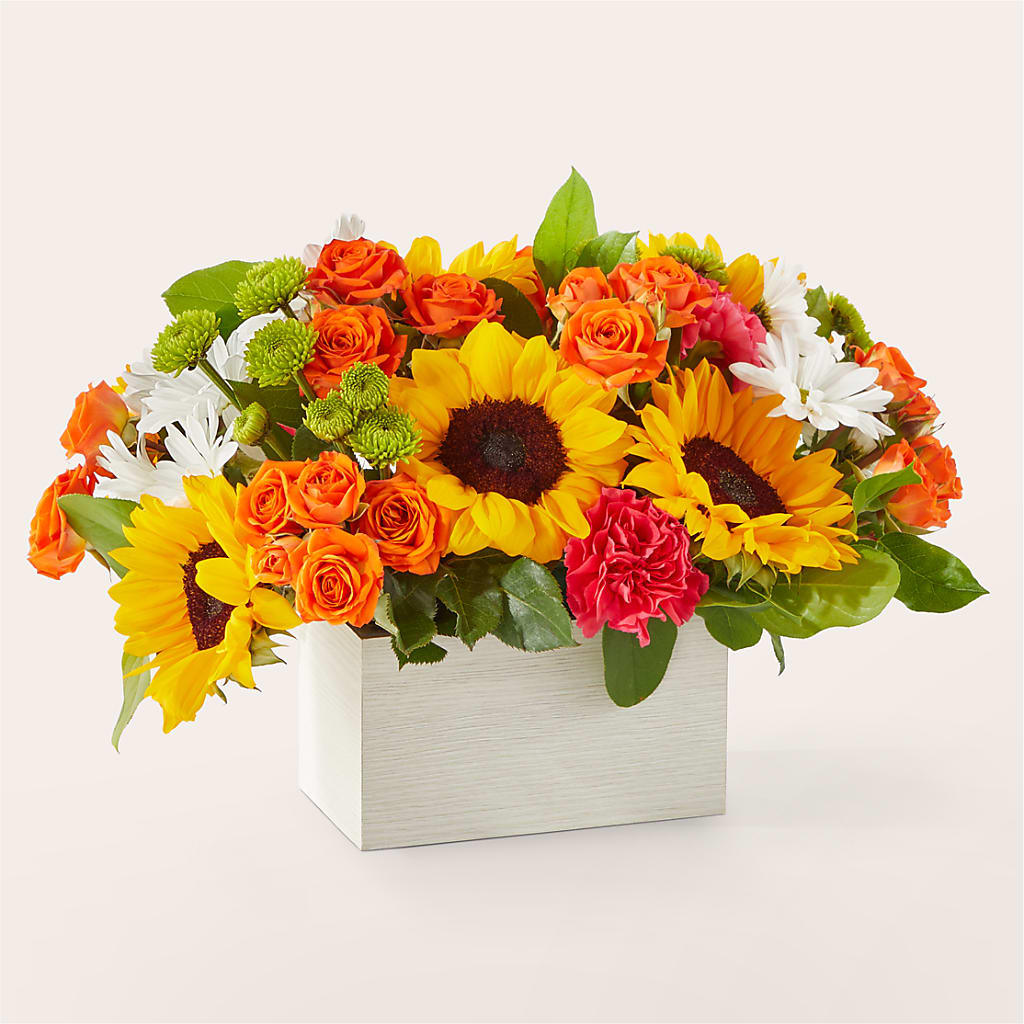 Sun-drenched Blooms Box Bouquet – Super Savers, Lincoln NE