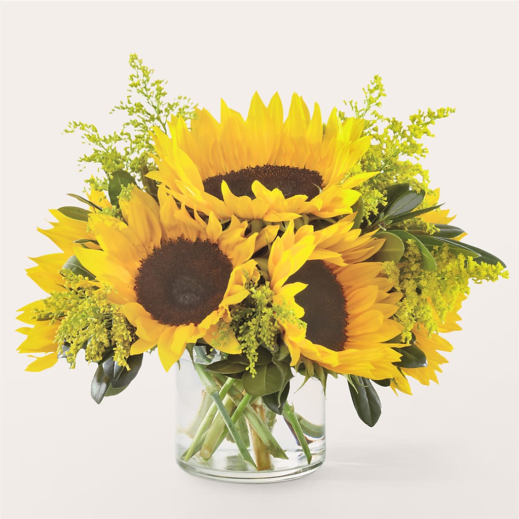 Beaming Sunflower Bouquet – Super Savers, Lincoln NE
