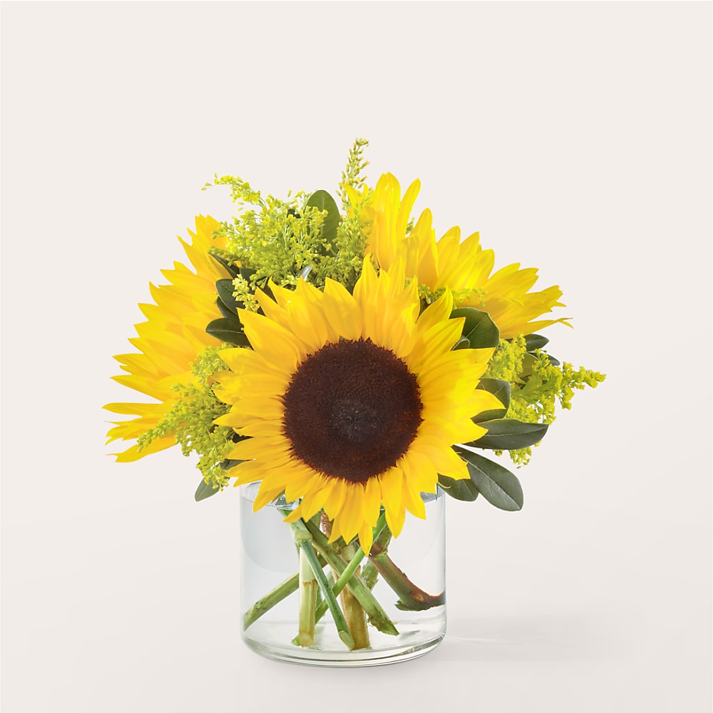 Beaming Sunflower Bouquet – Super Savers, Lincoln NE