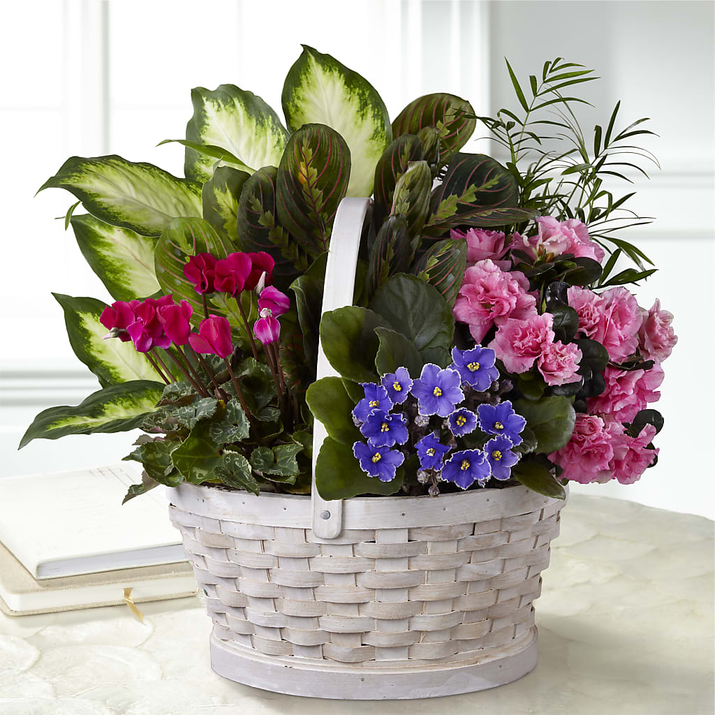 Peaceful Garden Planter – Super Savers, Lincoln NE