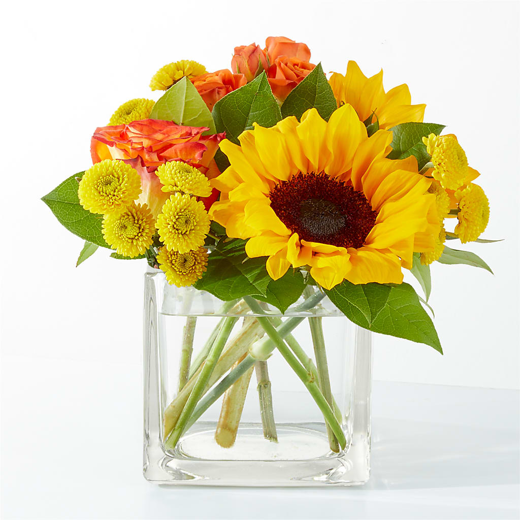 Picnic in the Park Bouquet – Super Savers, Lincoln NE