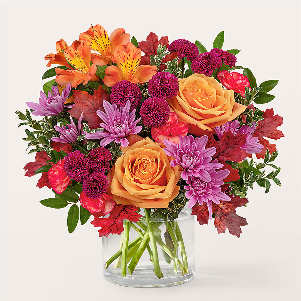 Terracotta Treasures Bouquet – Super Savers, Lincoln NE