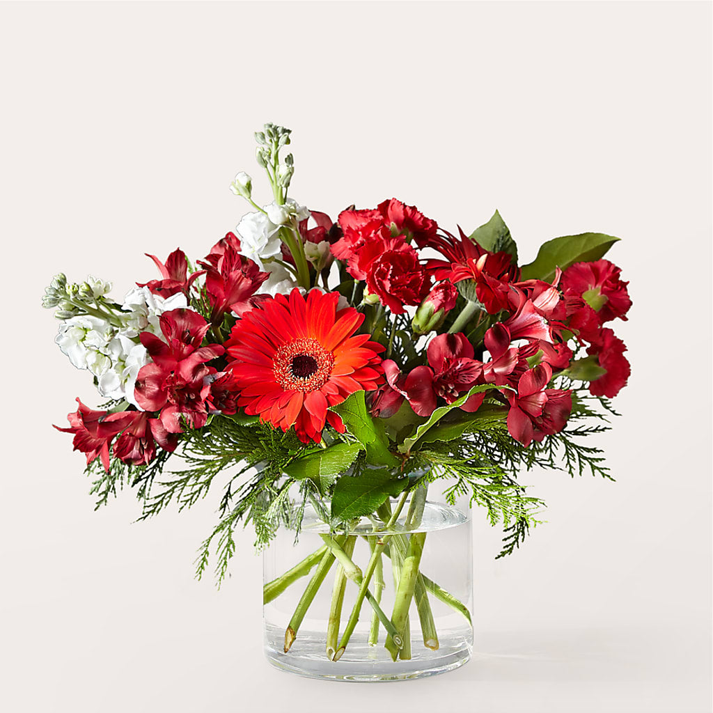 Holidaisy Bouquet – Super Savers, Lincoln NE
