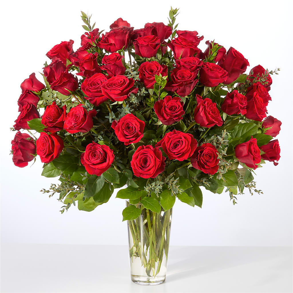 Forever Yours Fifty Stem Red Rose Bouquet – Super Savers, Lincoln NE