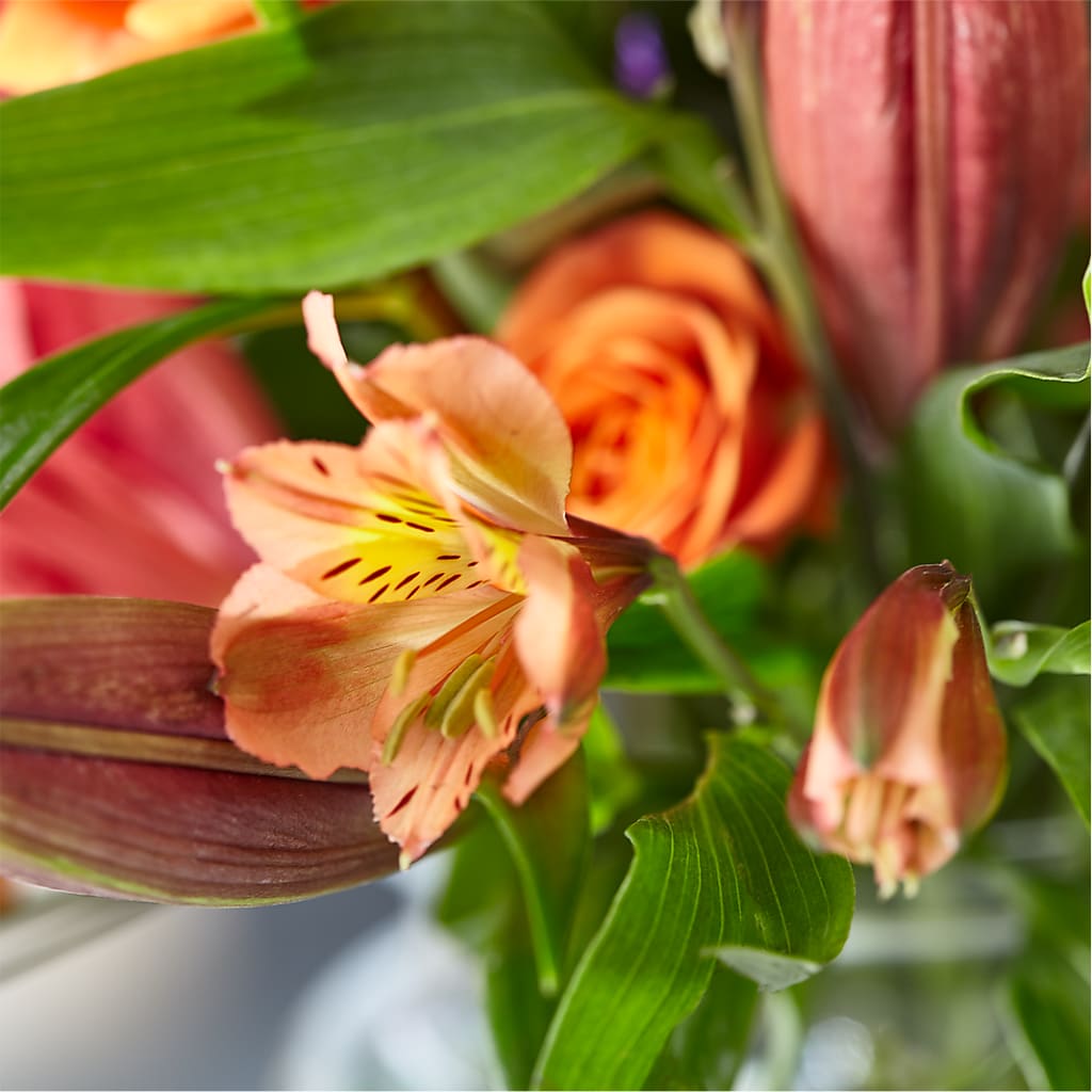 Bold & Bright – A Florist Original –  Super Savers, Lincoln NE