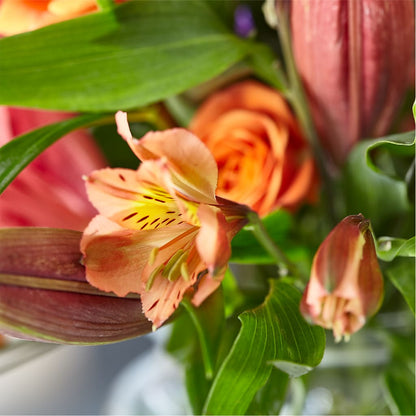Bold & Bright – A Florist Original –  Super Savers, Lincoln NE