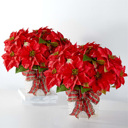 Happiest Holidays Poinsettia Bundle –  Super Savers, Lincoln NE