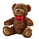 Adorable Plush Bear –  Super Savers, Lincoln NE