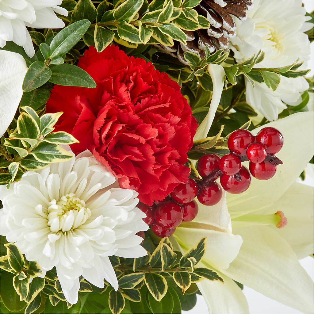 Festive Moments Tree –  Super Savers, Lincoln NE