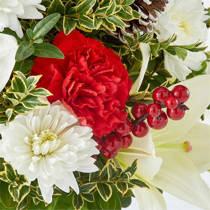 Festive Moments Tree –  Super Savers, Lincoln NE