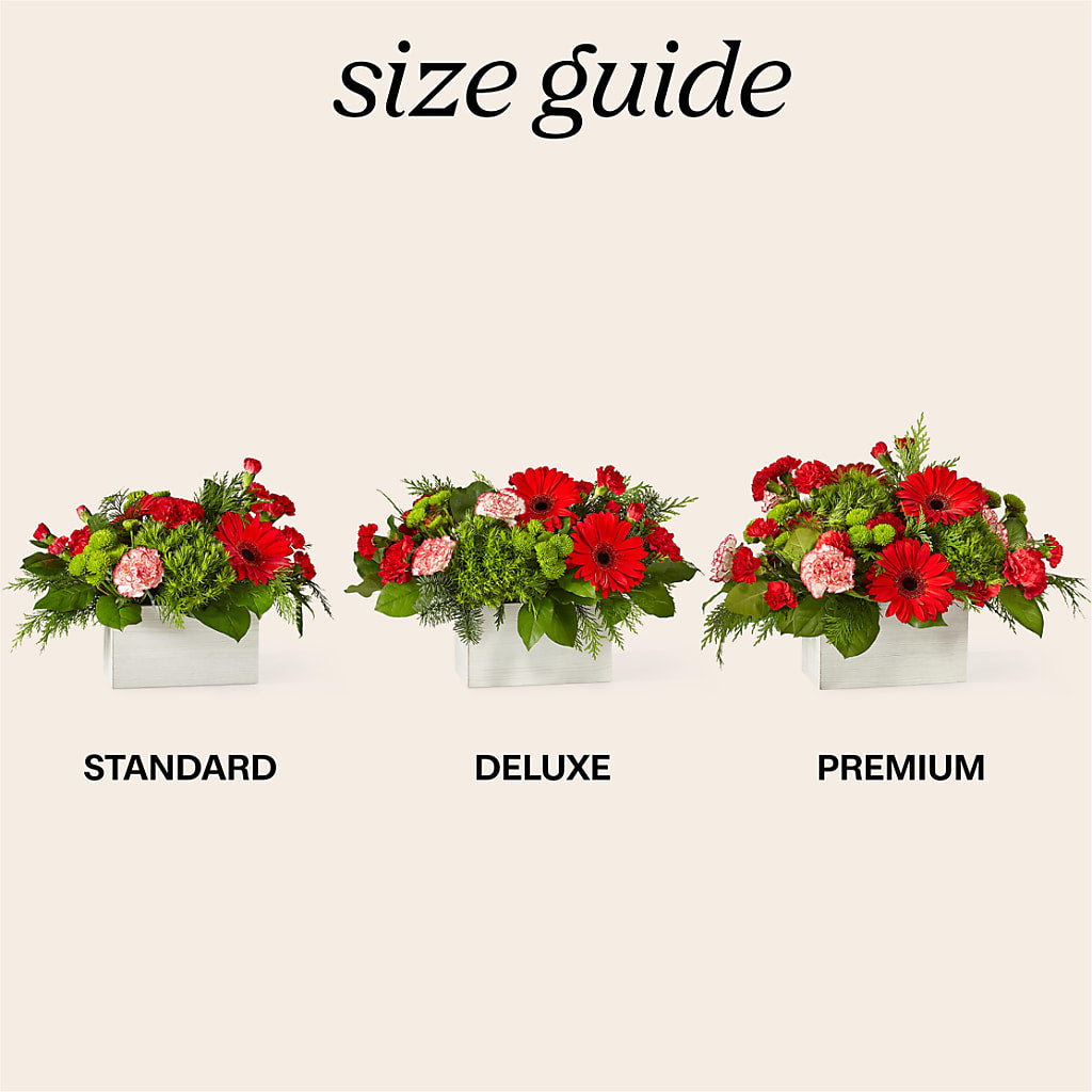The Rudolph Bouquet –  Super Savers, Lincoln NE