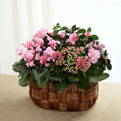 Pink Assortment –  Super Savers, Lincoln NE