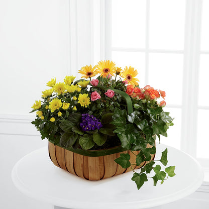 Gentle Blossoms Basket –  Super Savers, Lincoln NE