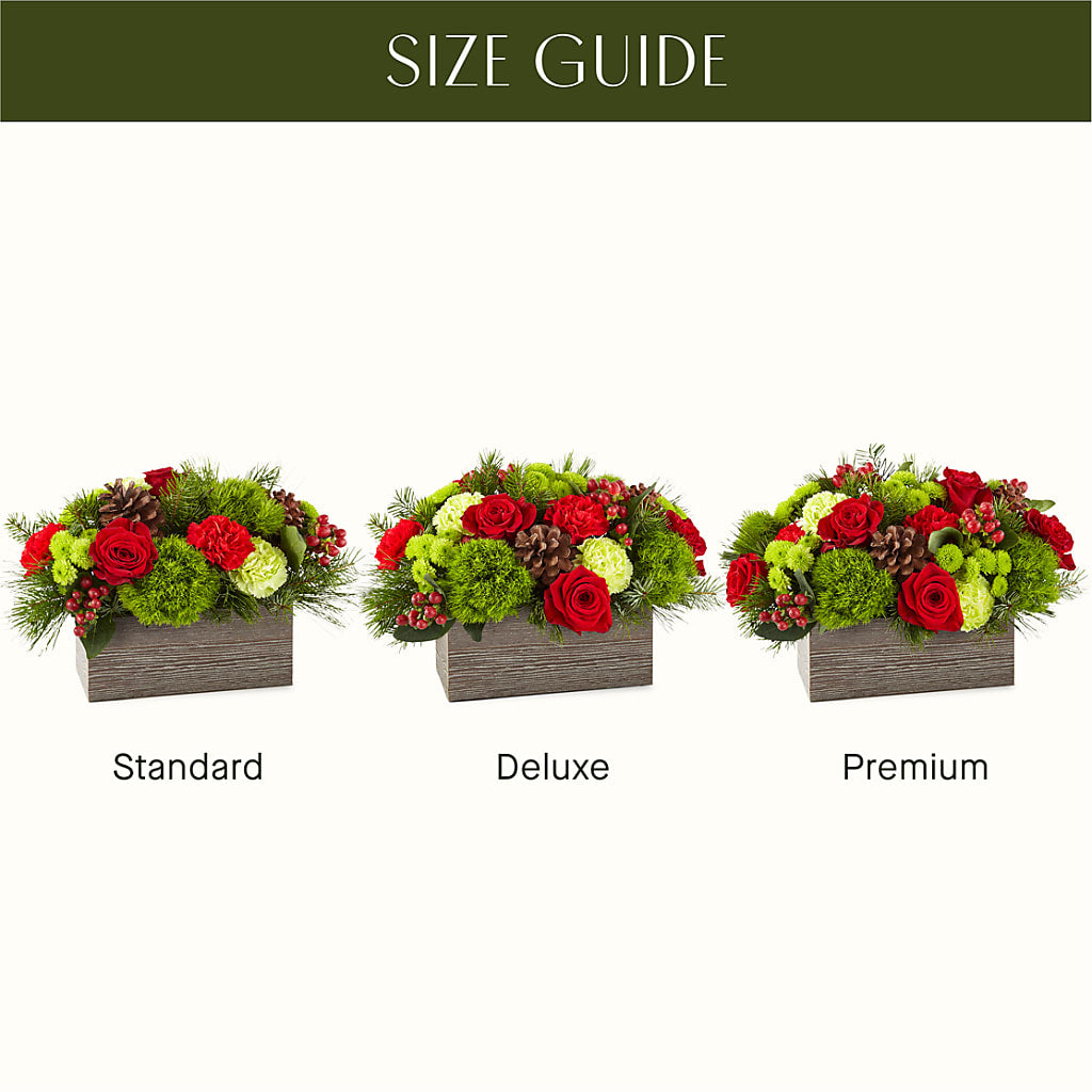 Bundled Up Bouquet –  Super Savers, Lincoln NE