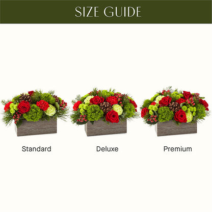 Bundled Up Bouquet –  Super Savers, Lincoln NE