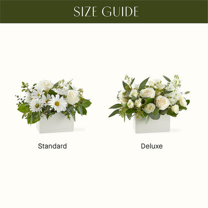 Fresh Linen Box Bouquet –  Super Savers, Lincoln NE
