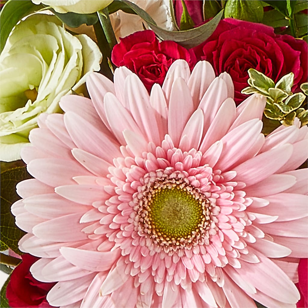 Too Cute Bouquet –  Super Savers, Lincoln NE