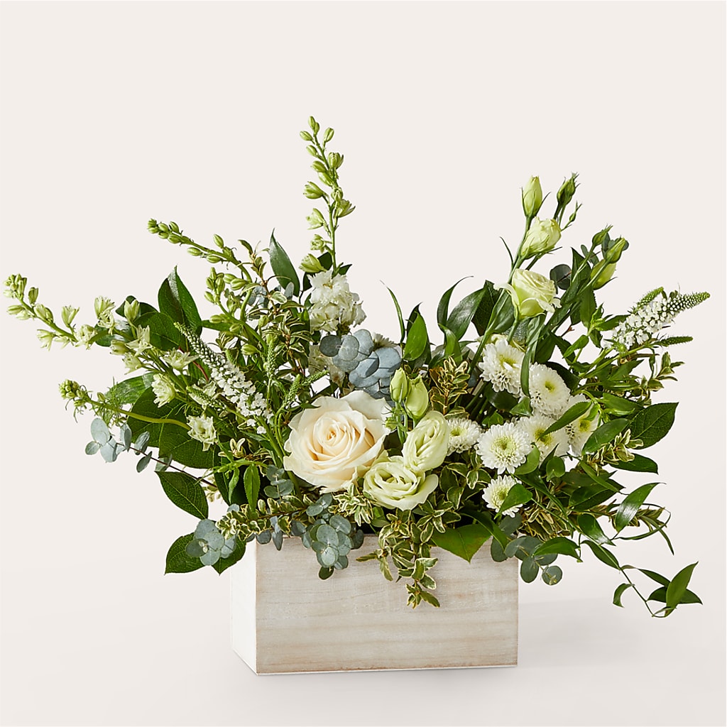 Cashmere Bouquet –  Super Savers, Lincoln NE