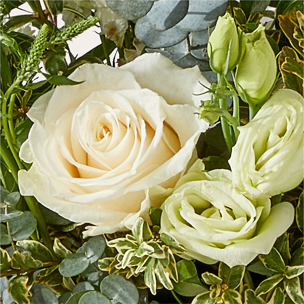 Cashmere Bouquet –  Super Savers, Lincoln NE