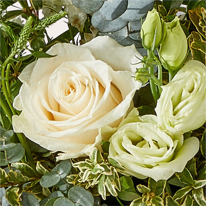 Cashmere Bouquet –  Super Savers, Lincoln NE