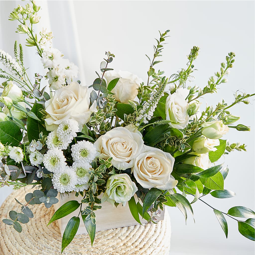Cashmere Bouquet –  Super Savers, Lincoln NE