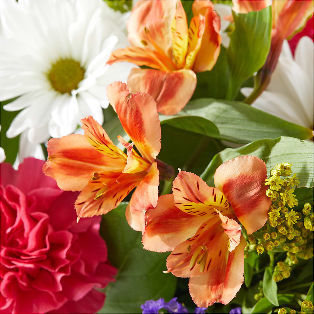 Oopsie Daisy Box Bouquet –  Super Savers, Lincoln NE