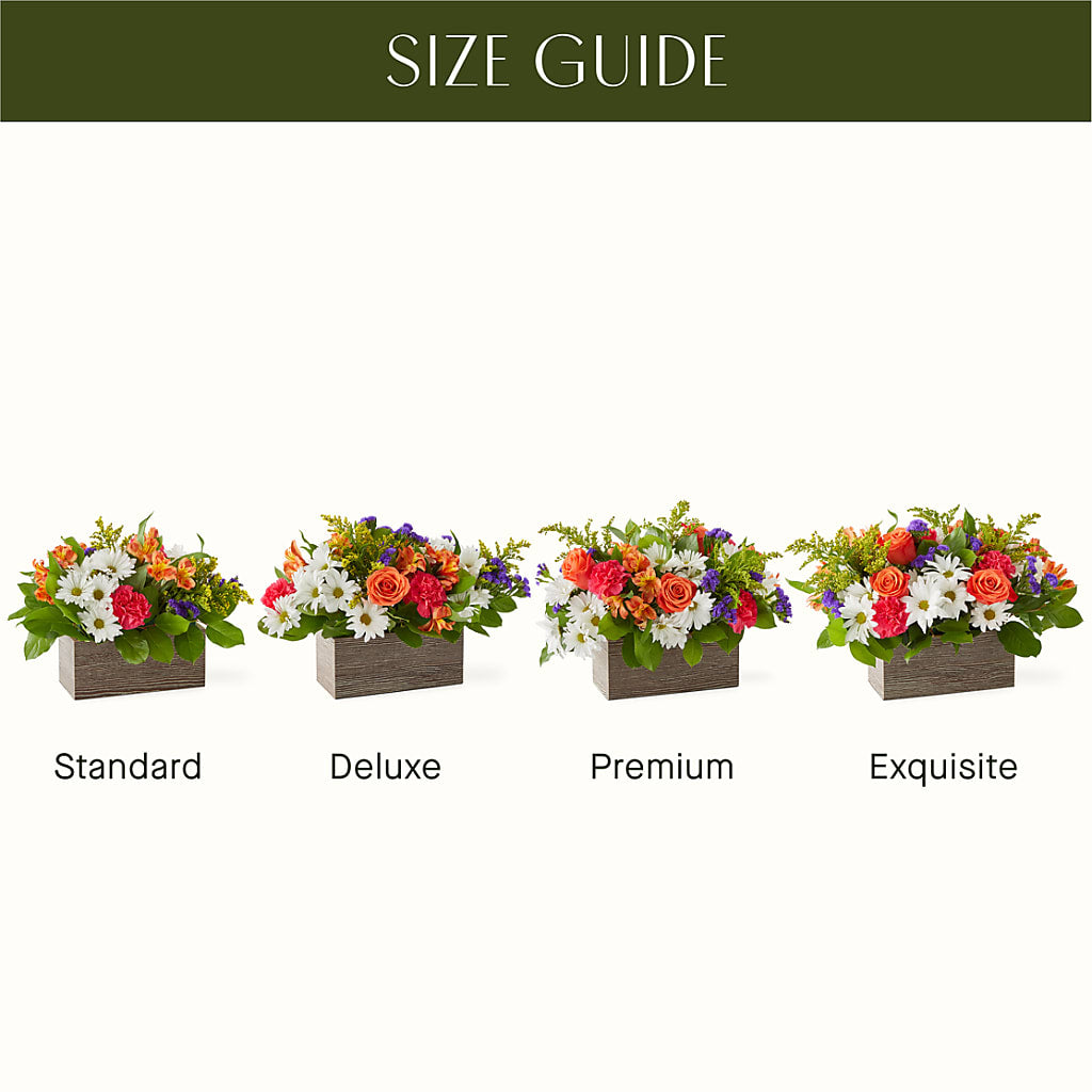 Oopsie Daisy Box Bouquet –  Super Savers, Lincoln NE