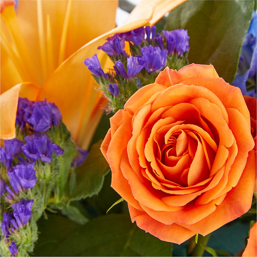Radiant Citrus Box Bouquet –  Super Savers, Lincoln NE