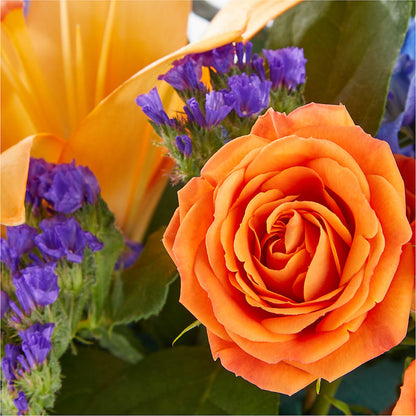 Radiant Citrus Box Bouquet –  Super Savers, Lincoln NE