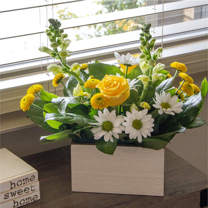 Sun Salutation Box Bouquet –  Super Savers, Lincoln NE