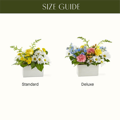 Sun Salutation Box Bouquet –  Super Savers, Lincoln NE