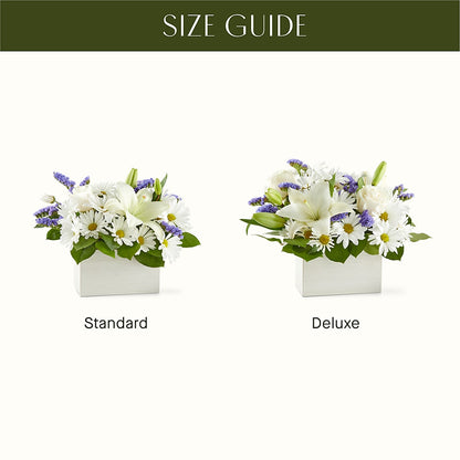 Beyond Blue Box Bouquet –  Super Savers, Lincoln NE