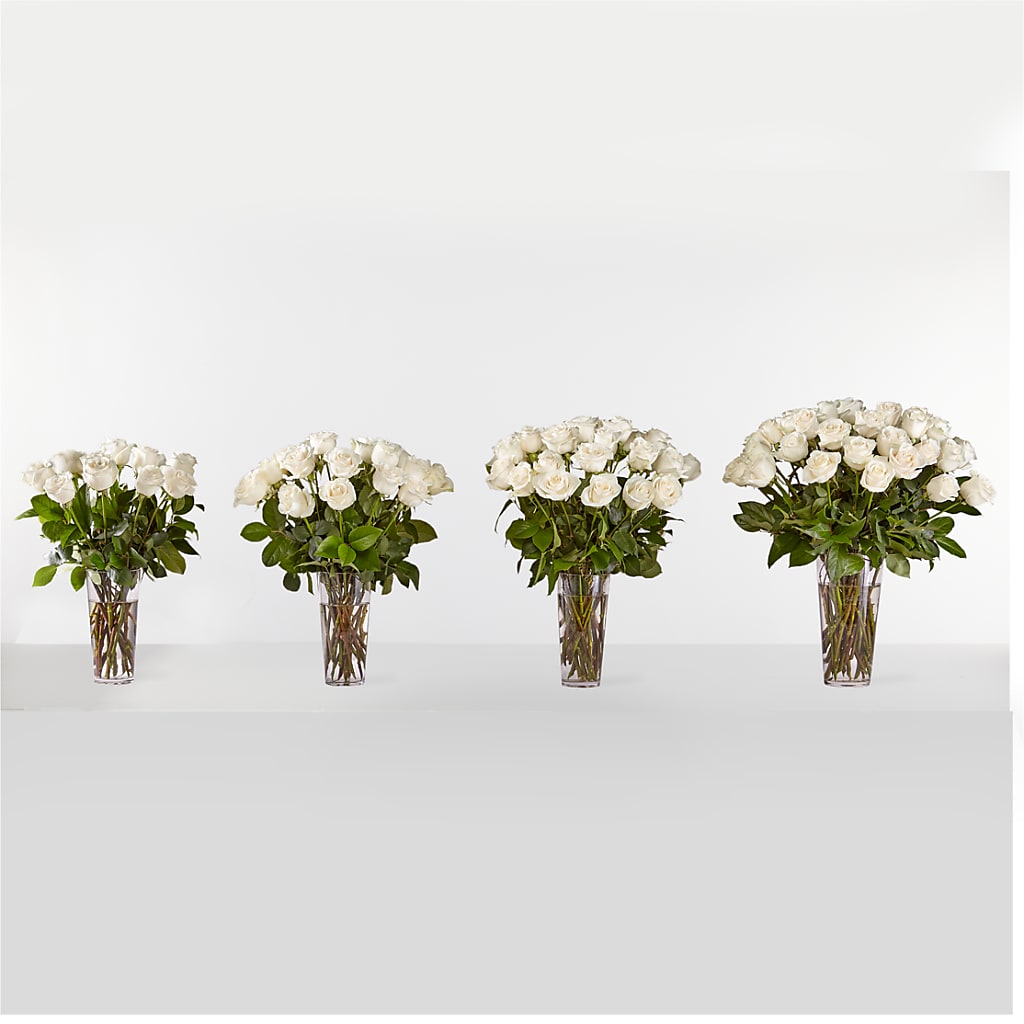Long Stem White Rose Bouquet –  Super Savers, Lincoln NE