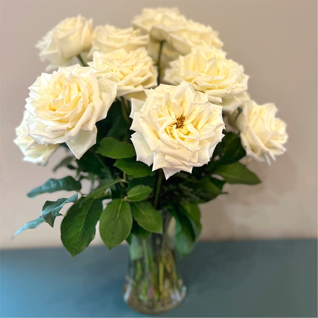 Long Stem Yellow Rose Bouquet –  Super Savers, Lincoln NE