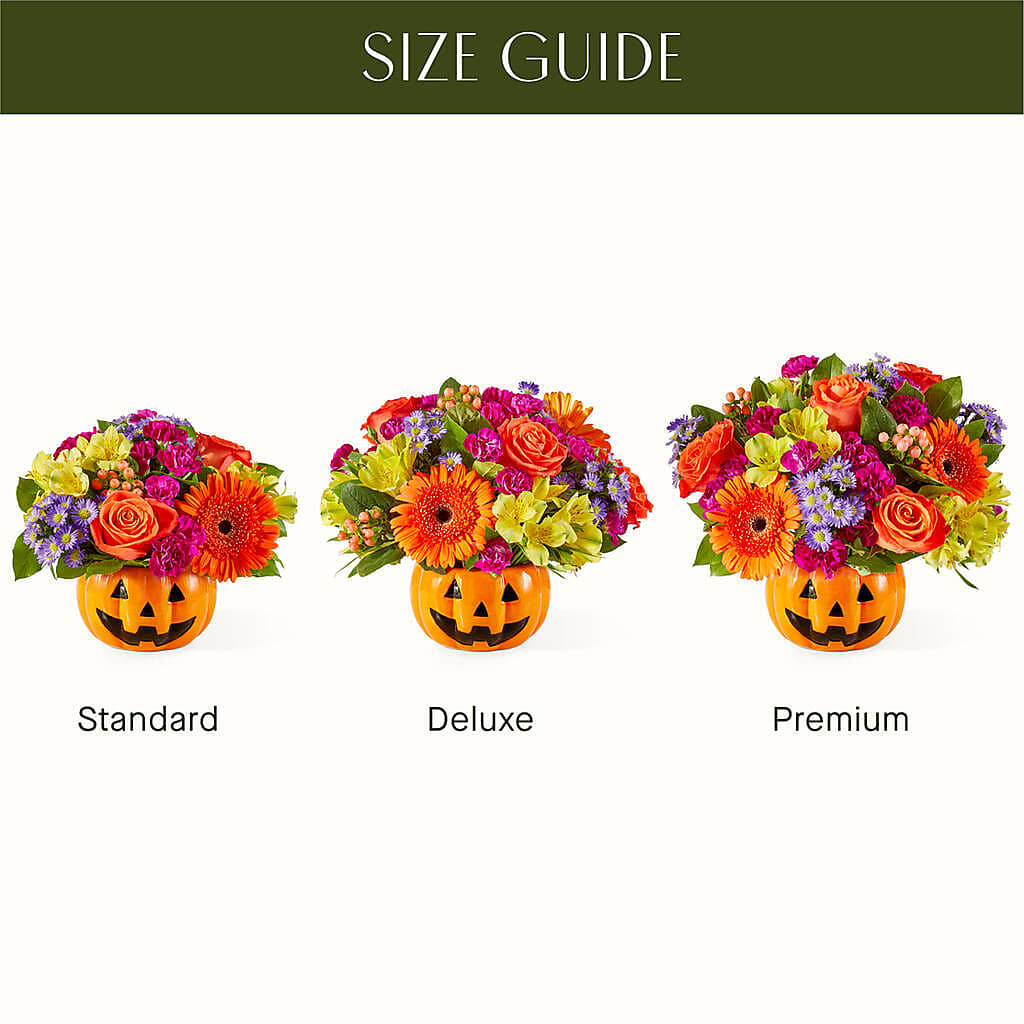 Tricks & Treats Pumpkin –  Super Savers, Lincoln NE