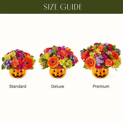 Tricks & Treats Pumpkin –  Super Savers, Lincoln NE