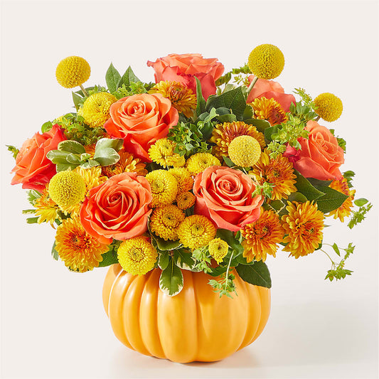 Gourdgeous Pumpkin –  Super Savers, Lincoln NE
