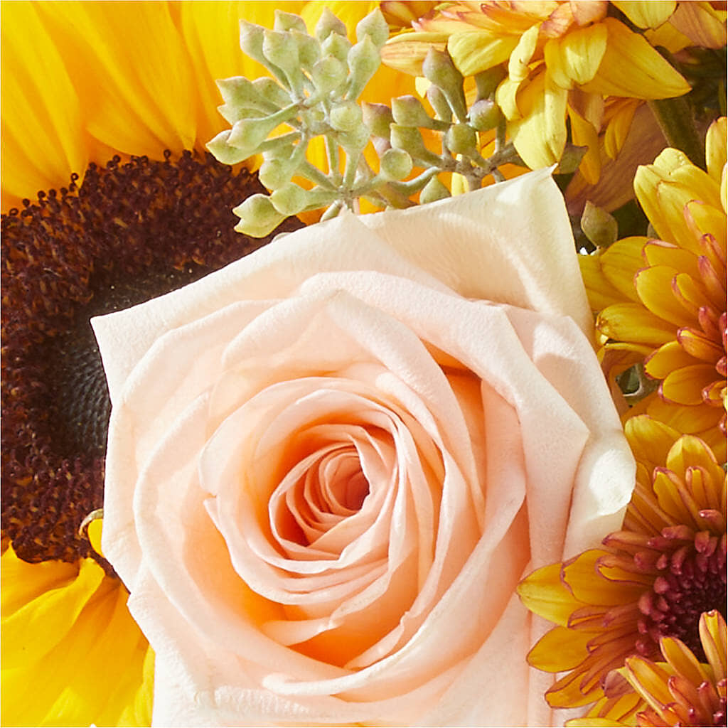 Pumpkin to Talk About Bouquet –  Super Savers, Lincoln NE