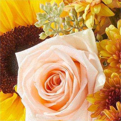 Pumpkin to Talk About Bouquet –  Super Savers, Lincoln NE