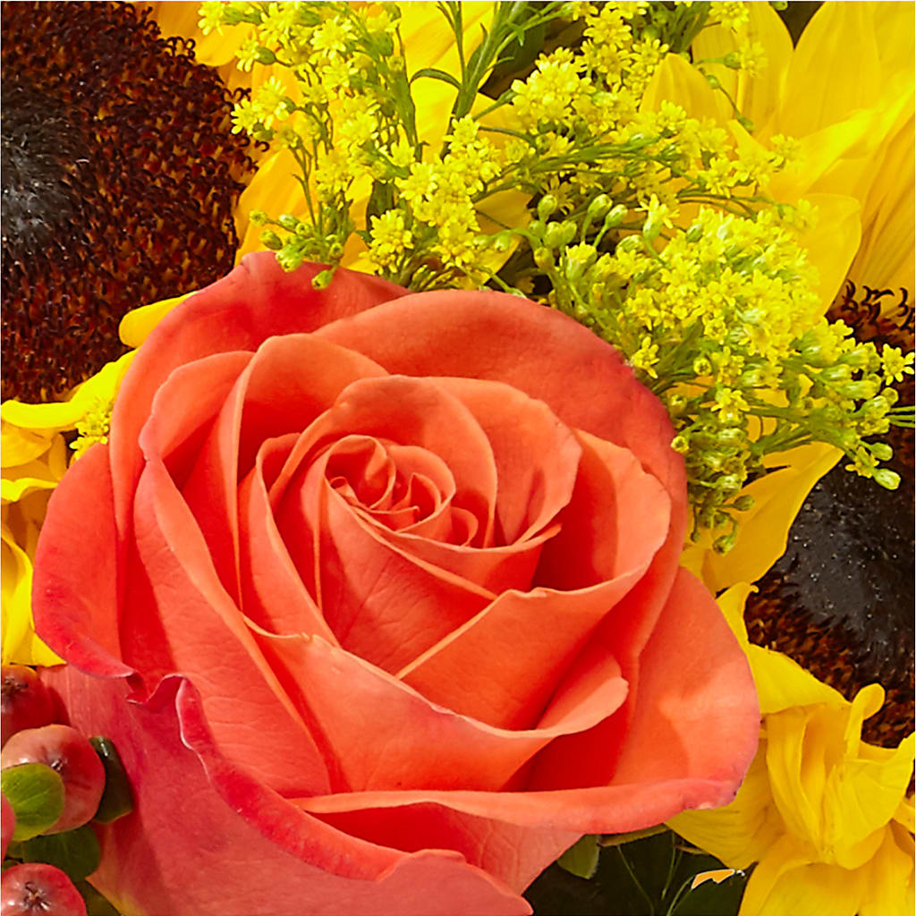 Pick of the Patch Pumpkin Bouquet –  Super Savers, Lincoln NE