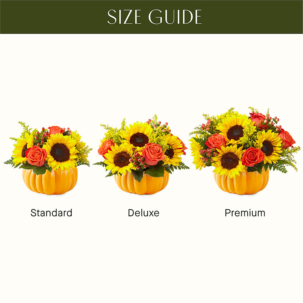 Pick of the Patch Pumpkin Bouquet –  Super Savers, Lincoln NE