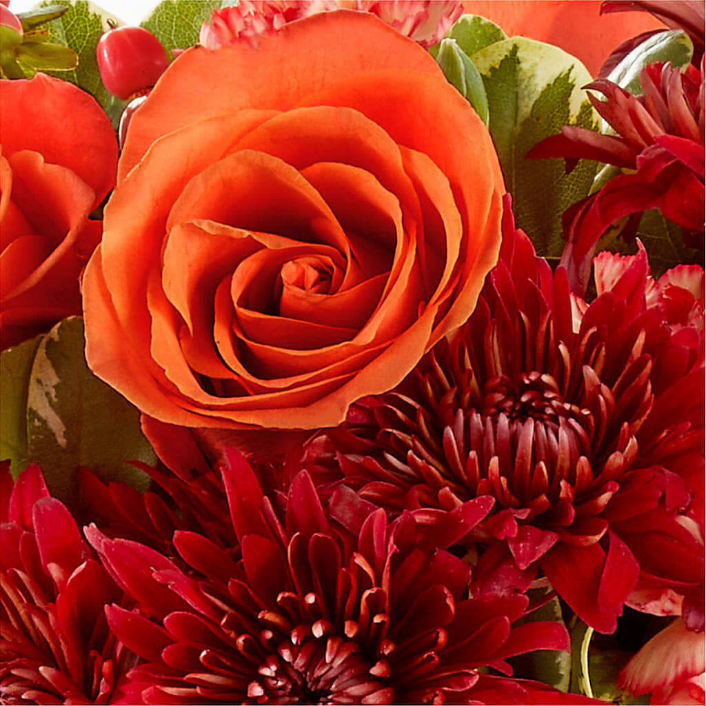 Autumn Air Pumpkin Bouquet –  Super Savers, Lincoln NE